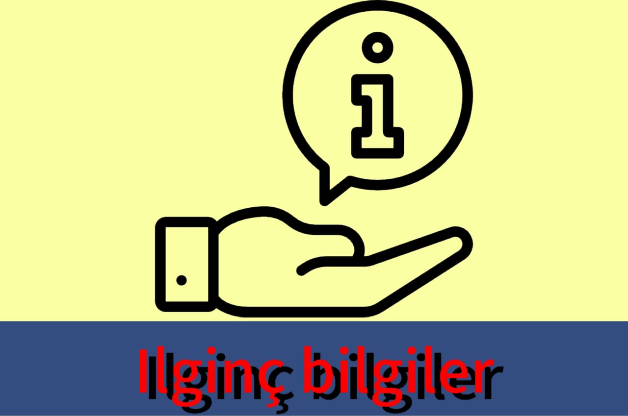 Ilginç bilgiler